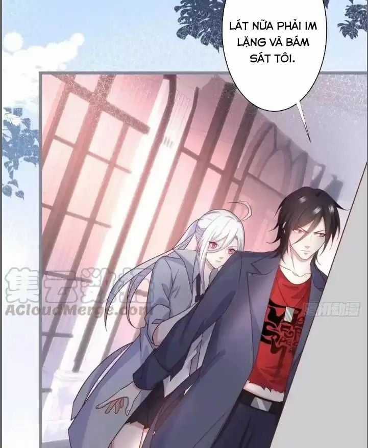 Hắc Đạo Đáng Yêu Chapter 234 trang 16