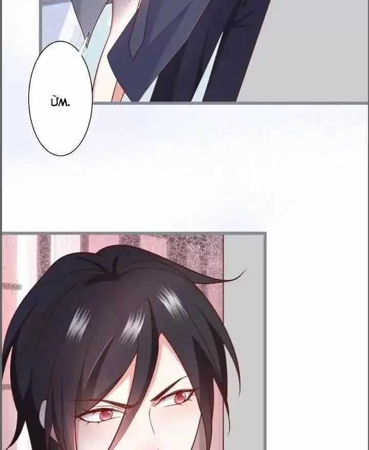 Hắc Đạo Đáng Yêu Chapter 234 trang 17