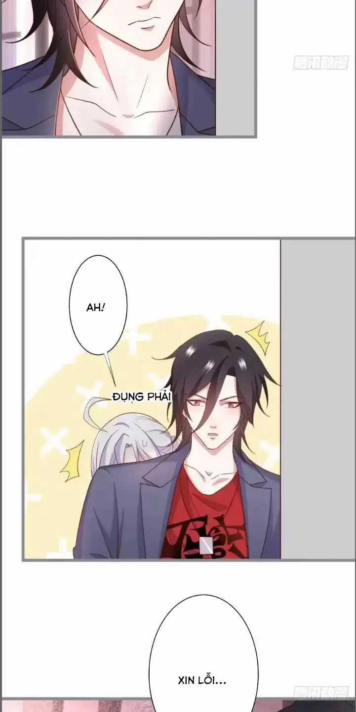 Hắc Đạo Đáng Yêu Chapter 234 trang 18