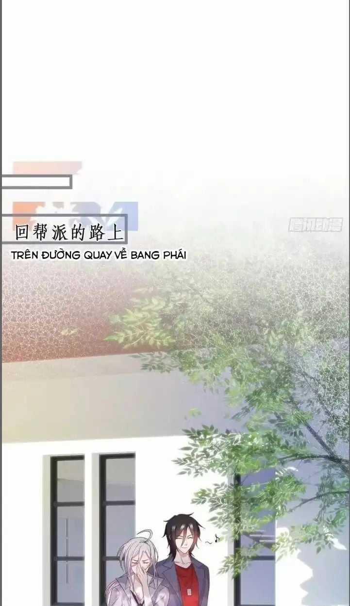 Hắc Đạo Đáng Yêu Chapter 234 trang 31