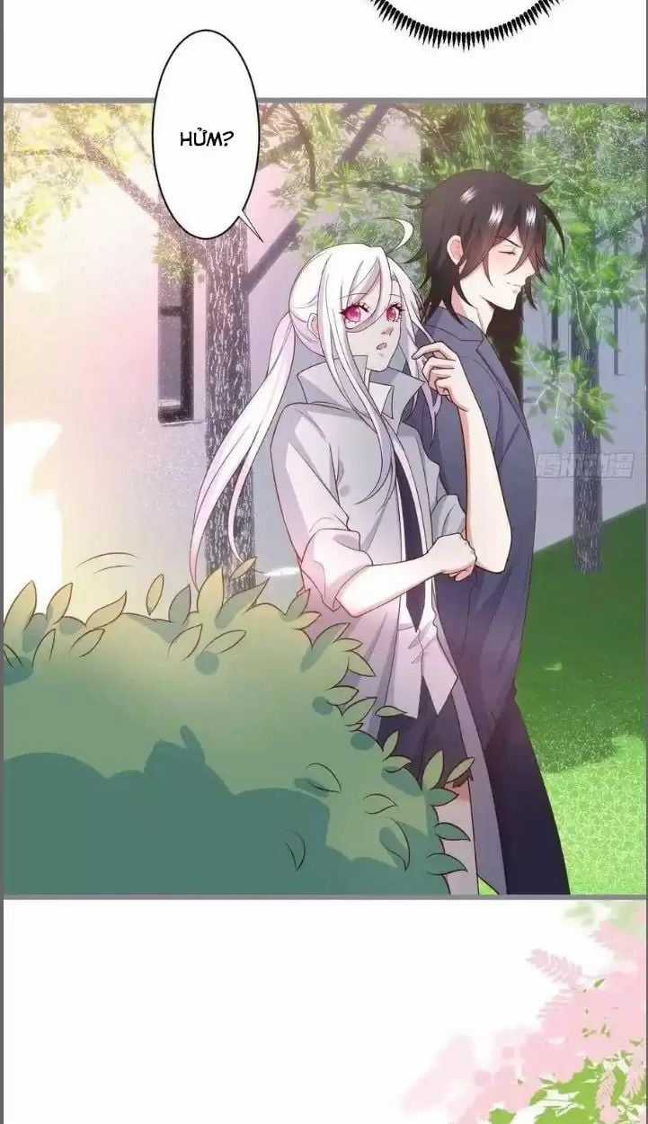 Hắc Đạo Đáng Yêu Chapter 234 trang 33