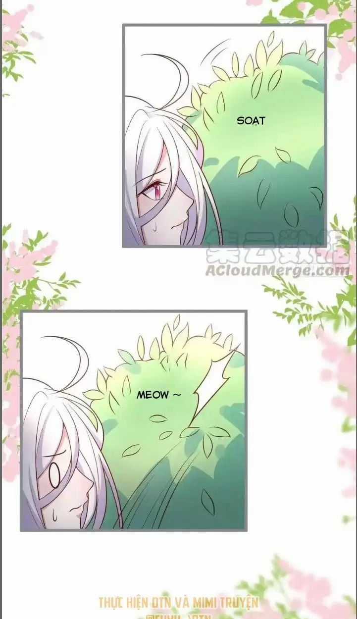 Hắc Đạo Đáng Yêu Chapter 234 trang 34