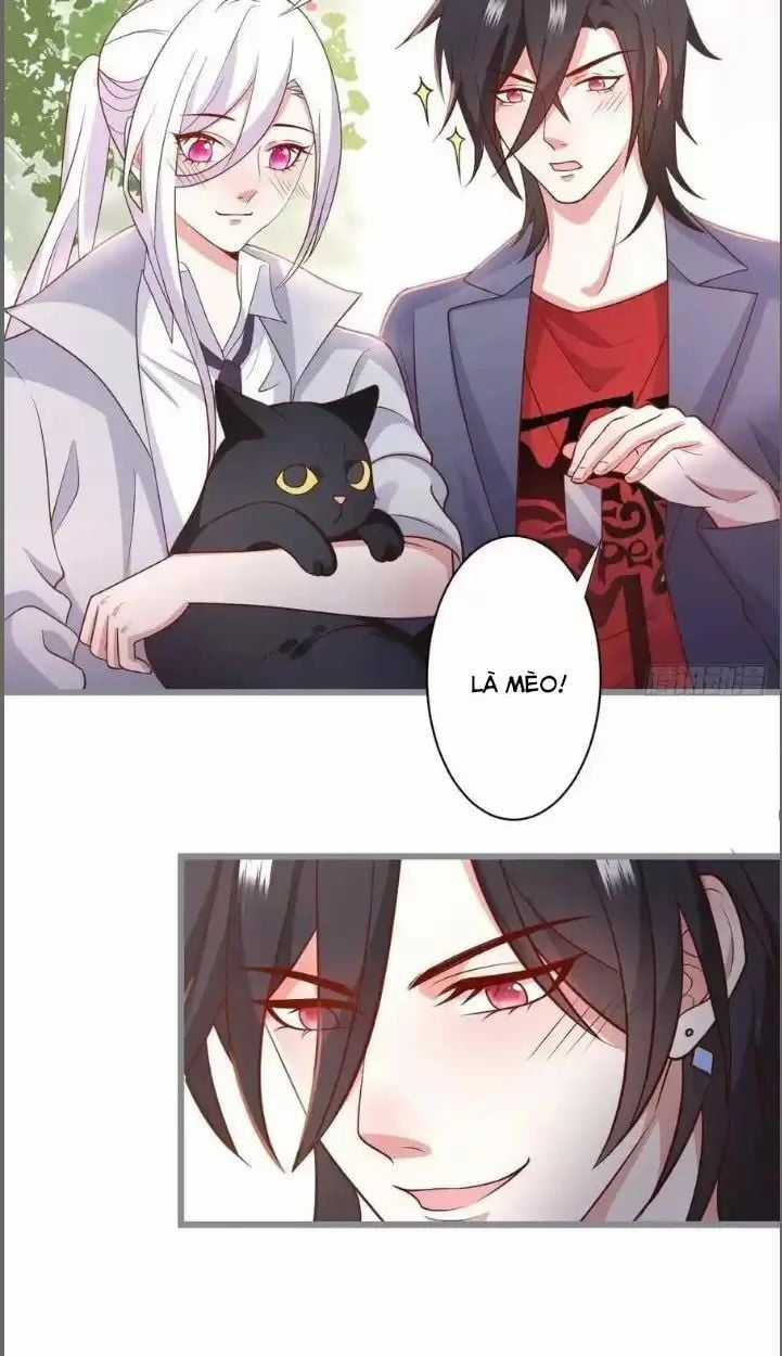 Hắc Đạo Đáng Yêu Chapter 234 trang 37