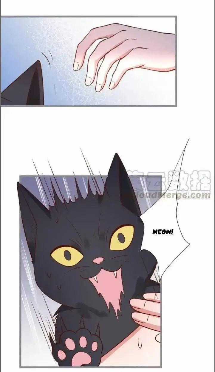 Hắc Đạo Đáng Yêu Chapter 234 trang 38