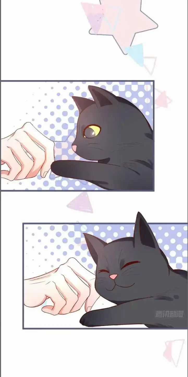 Hắc Đạo Đáng Yêu Chapter 235 trang 11