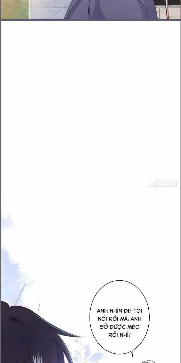 Hắc Đạo Đáng Yêu Chapter 235 trang 14