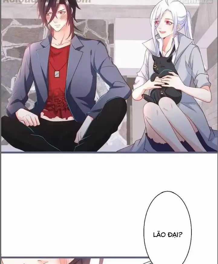 Hắc Đạo Đáng Yêu Chapter 235 trang 19