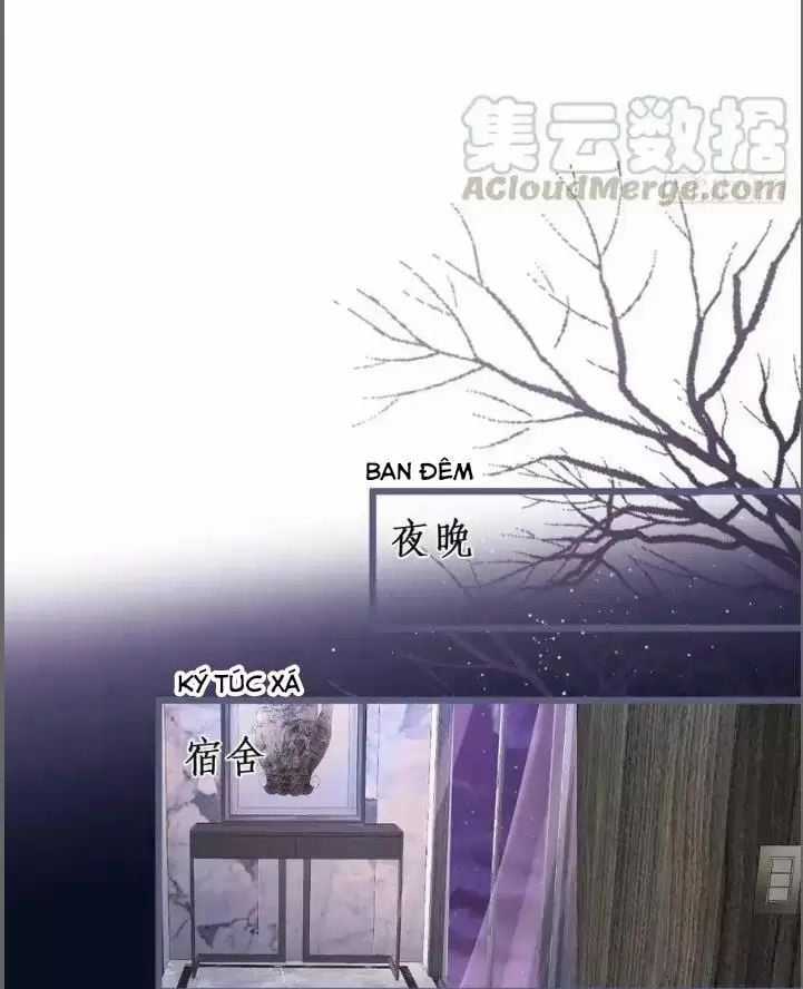 Hắc Đạo Đáng Yêu Chapter 235 trang 27