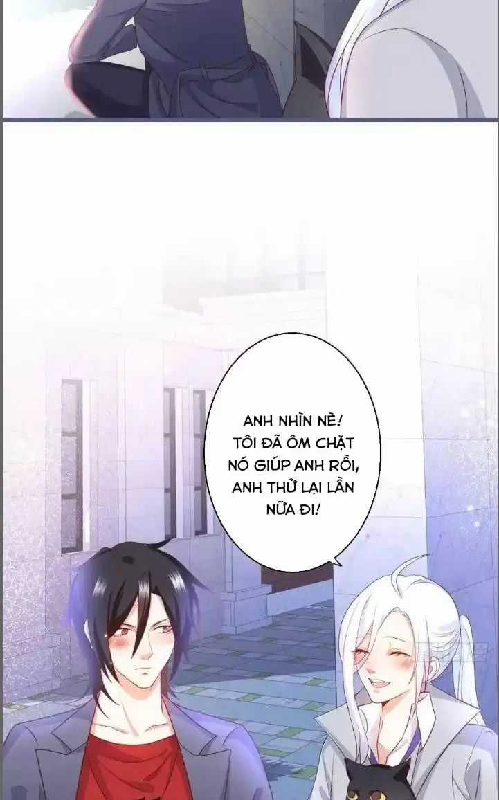 Hắc Đạo Đáng Yêu Chapter 235 trang 3