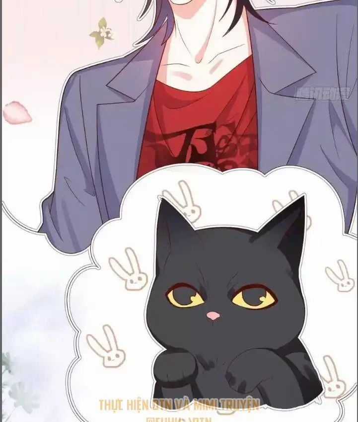 Hắc Đạo Đáng Yêu Chapter 235 trang 33