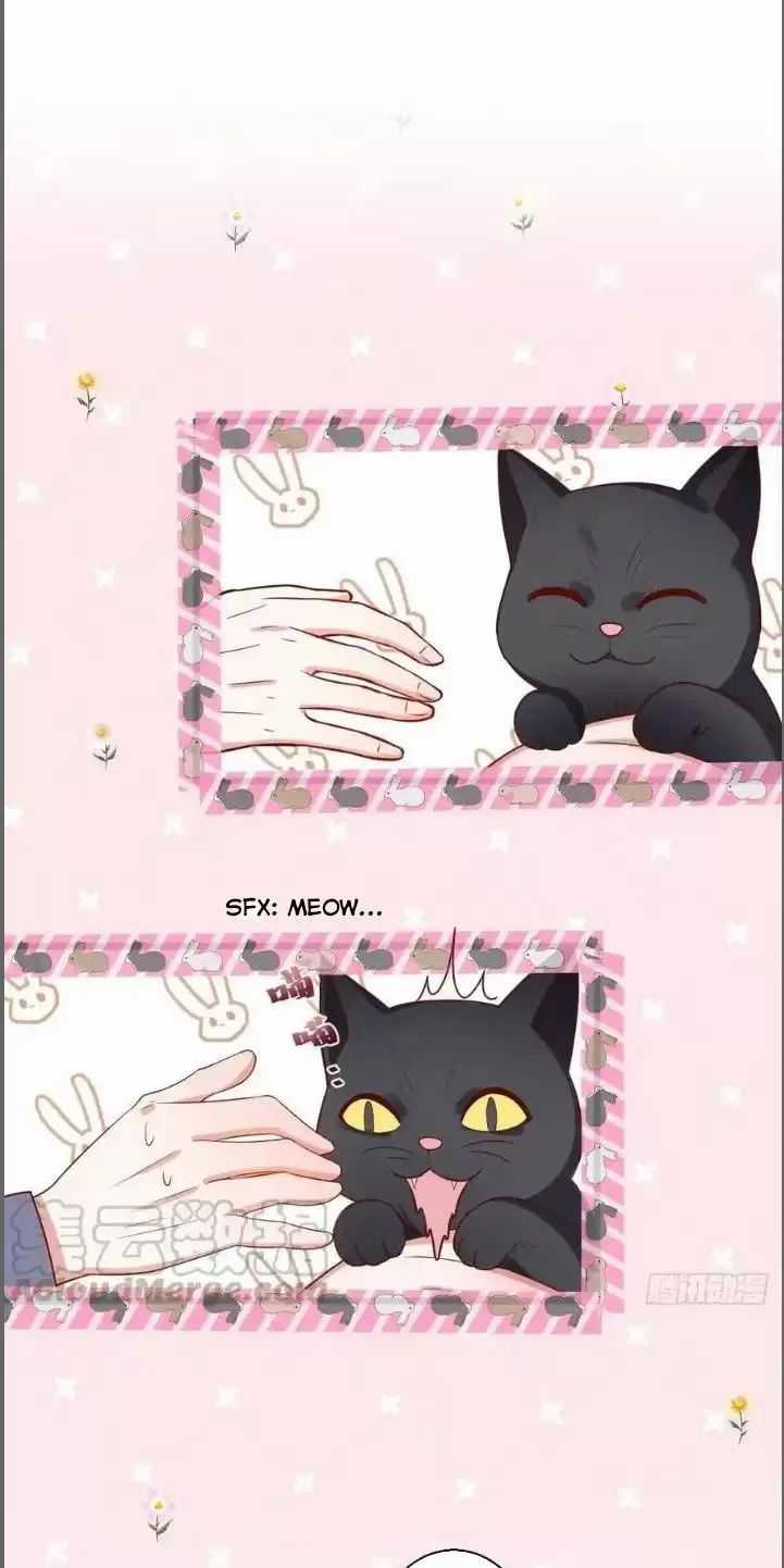 Hắc Đạo Đáng Yêu Chapter 235 trang 5