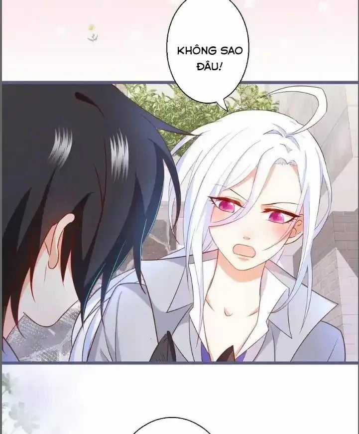 Hắc Đạo Đáng Yêu Chapter 235 trang 6