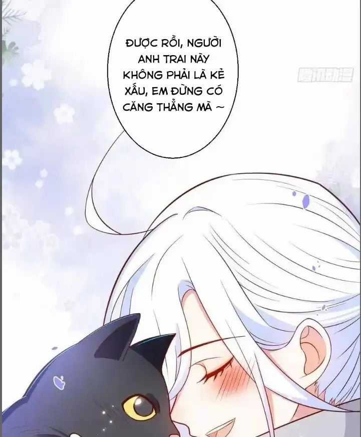 Hắc Đạo Đáng Yêu Chapter 235 trang 7