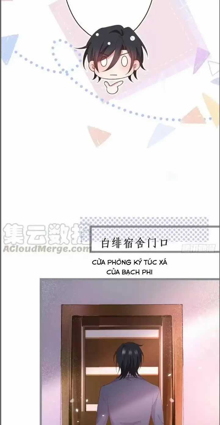 Hắc Đạo Đáng Yêu Chapter 238 trang 35