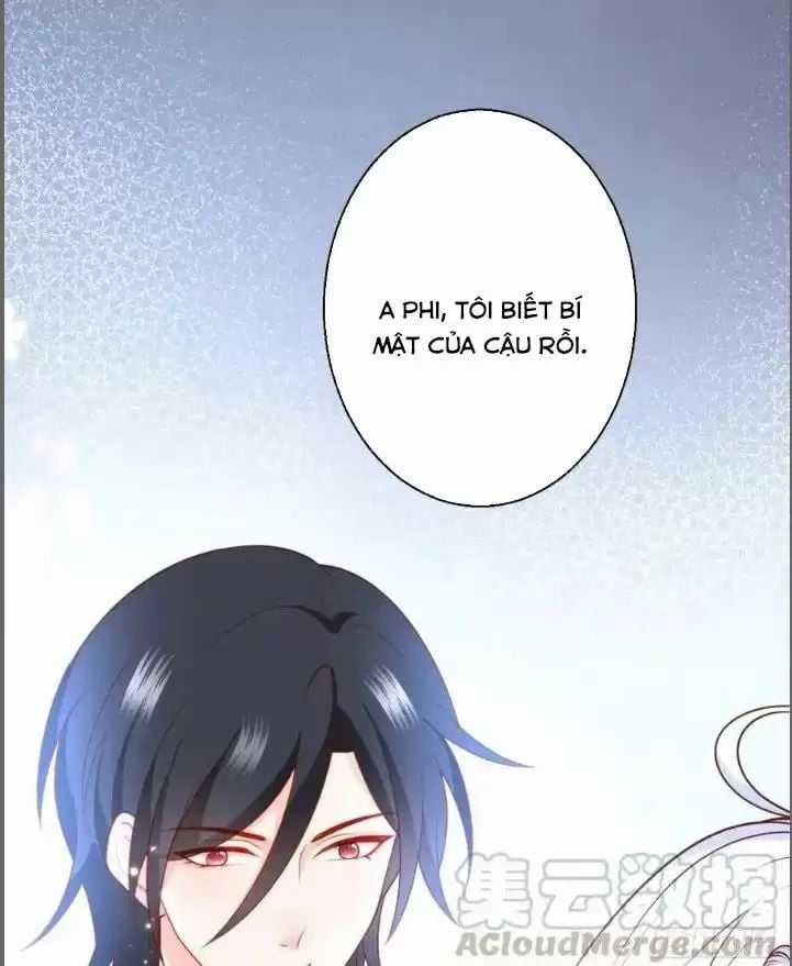 Hắc Đạo Đáng Yêu Chapter 239 trang 11