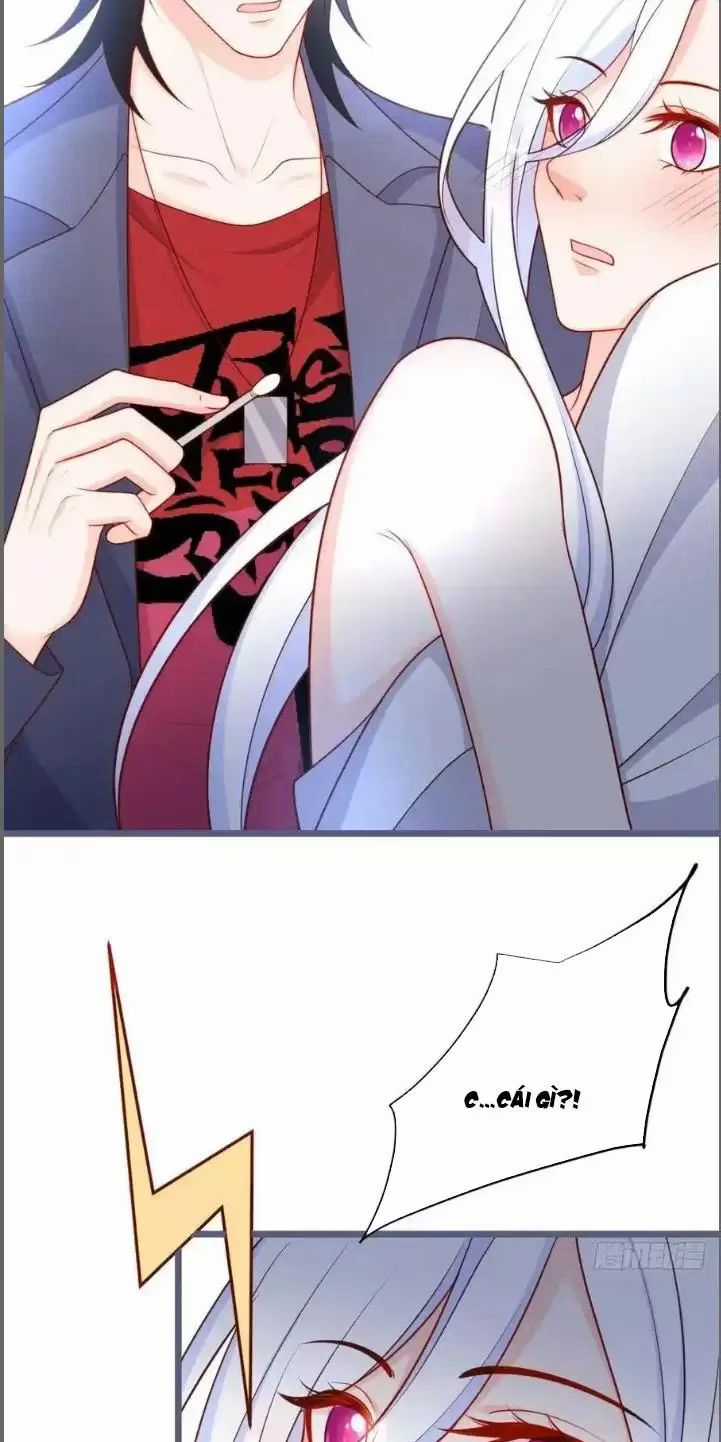 Hắc Đạo Đáng Yêu Chapter 239 trang 12