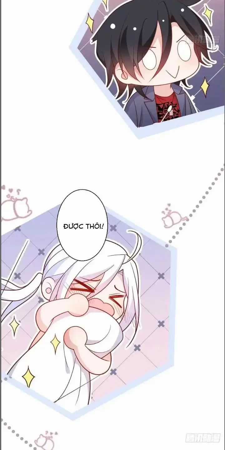 Hắc Đạo Đáng Yêu Chapter 239 trang 18