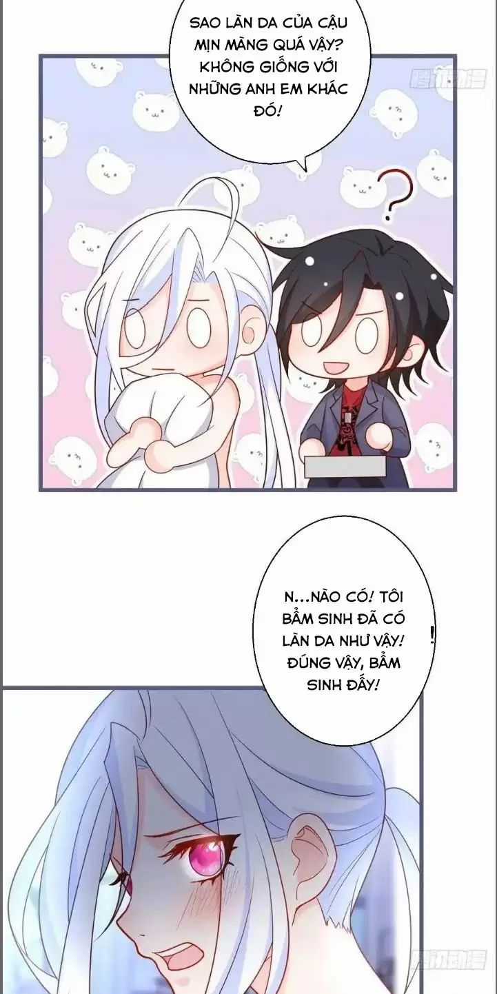 Hắc Đạo Đáng Yêu Chapter 239 trang 24