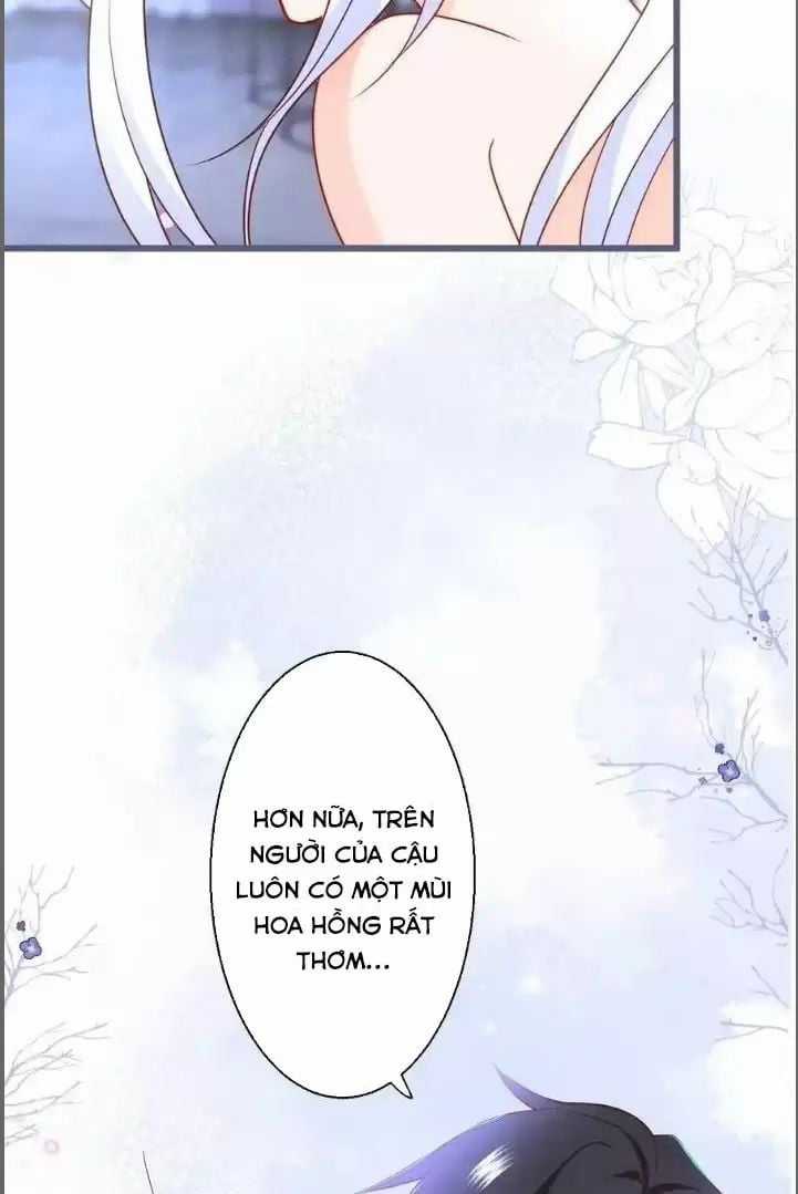 Hắc Đạo Đáng Yêu Chapter 239 trang 25