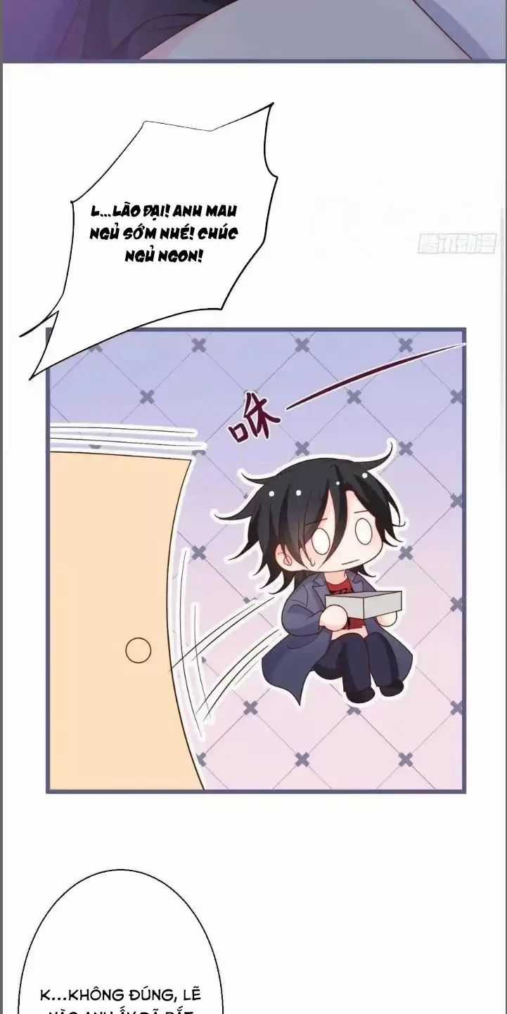 Hắc Đạo Đáng Yêu Chapter 239 trang 27