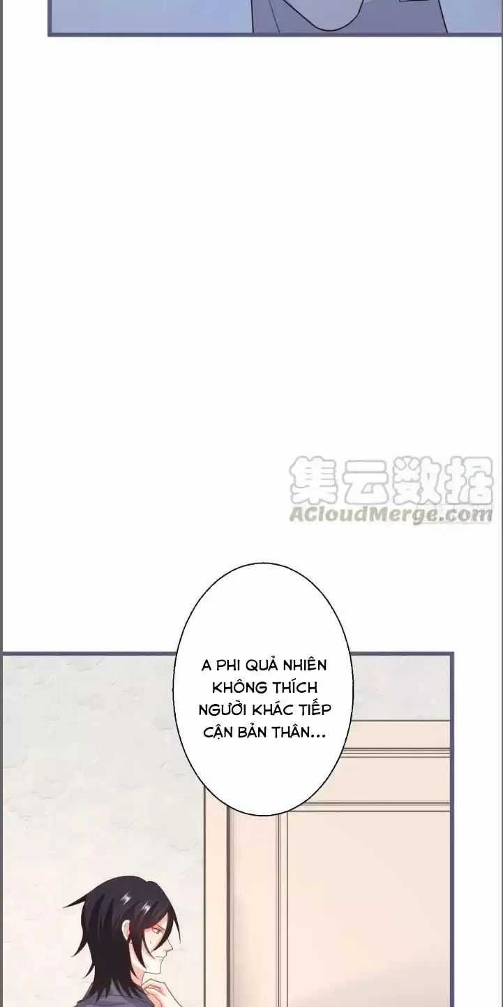 Hắc Đạo Đáng Yêu Chapter 239 trang 30