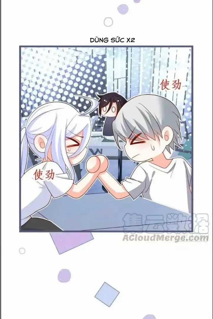 Hắc Đạo Đáng Yêu Chapter 239 trang 34