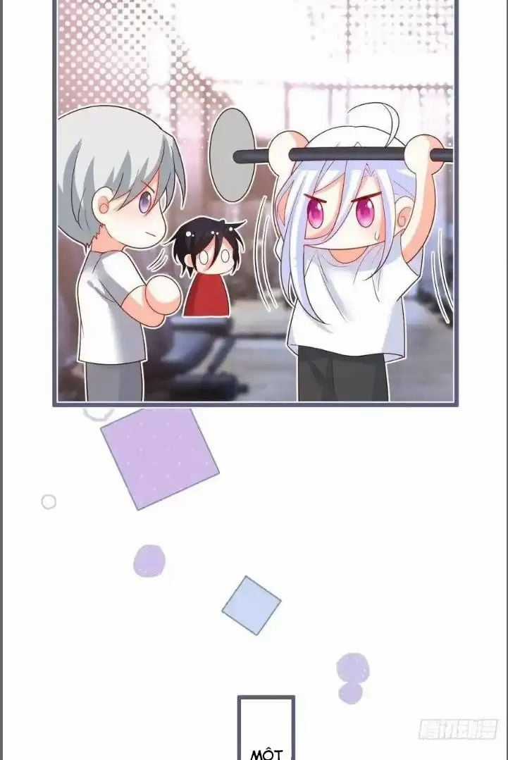 Hắc Đạo Đáng Yêu Chapter 239 trang 37