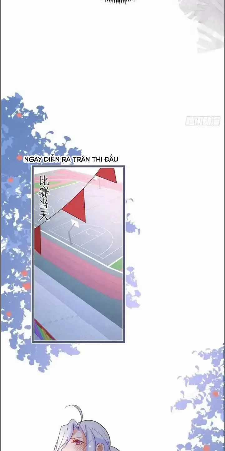 Hắc Đạo Đáng Yêu Chapter 239 trang 42