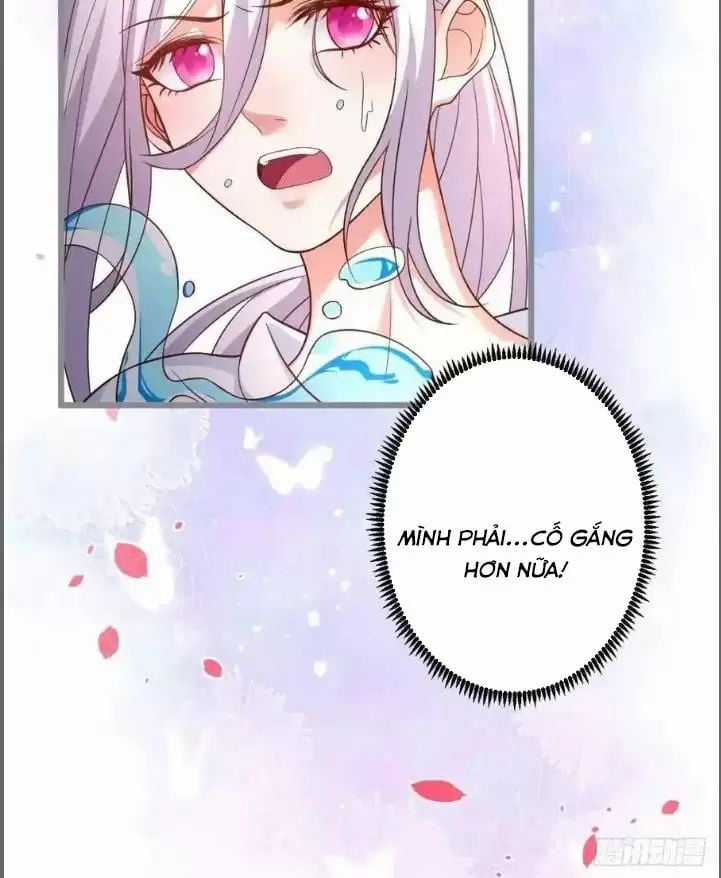 Hắc Đạo Đáng Yêu Chapter 240 trang 11