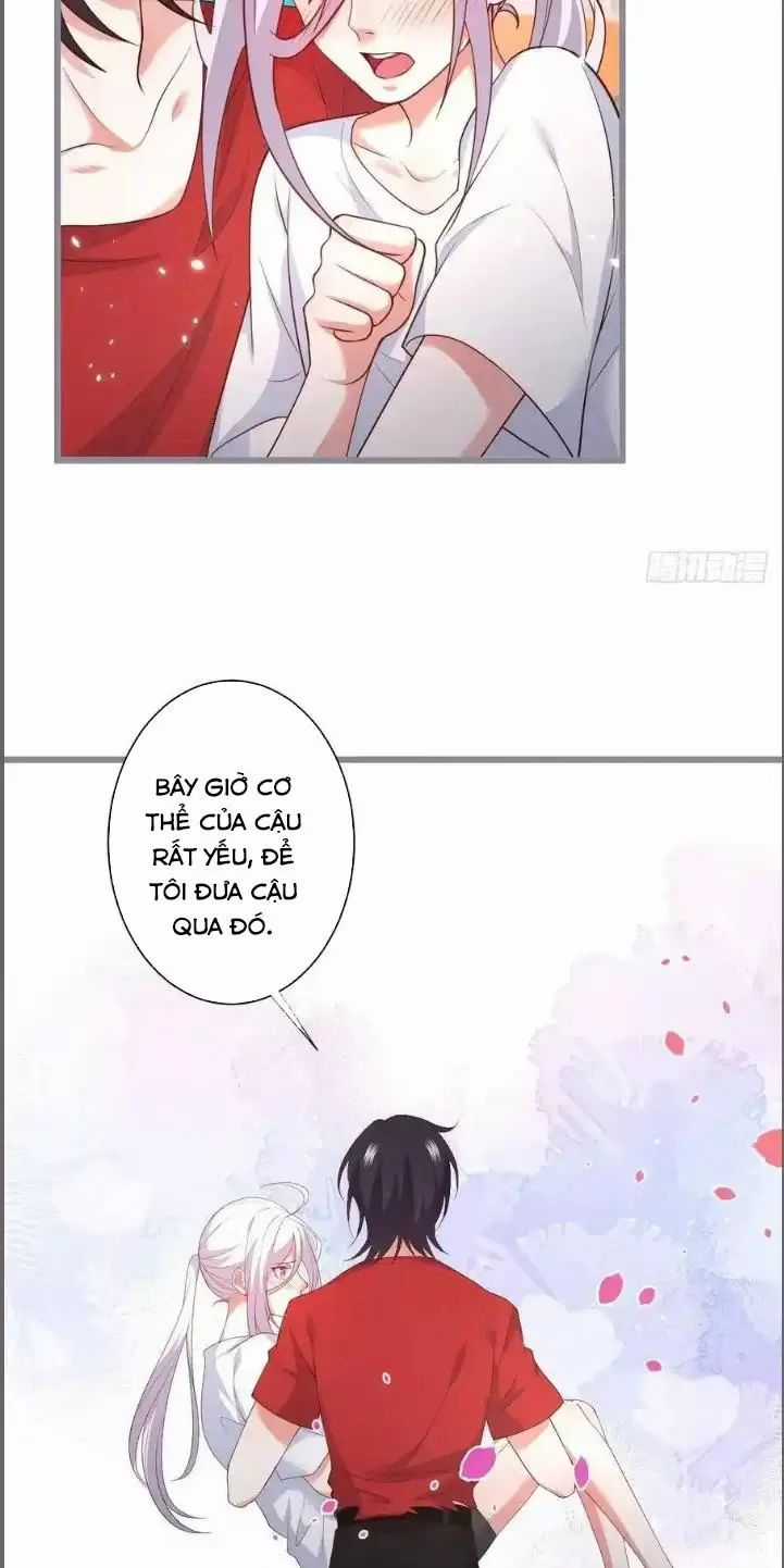 Hắc Đạo Đáng Yêu Chapter 240 trang 45