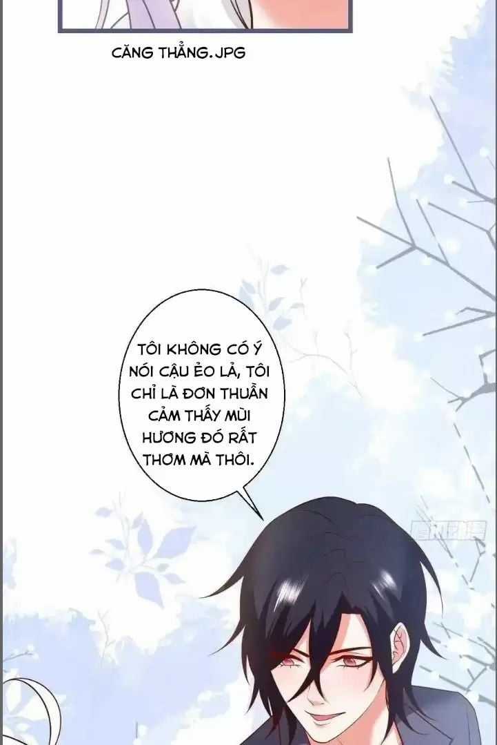 Hắc Đạo Đáng Yêu Chapter 241 trang 31