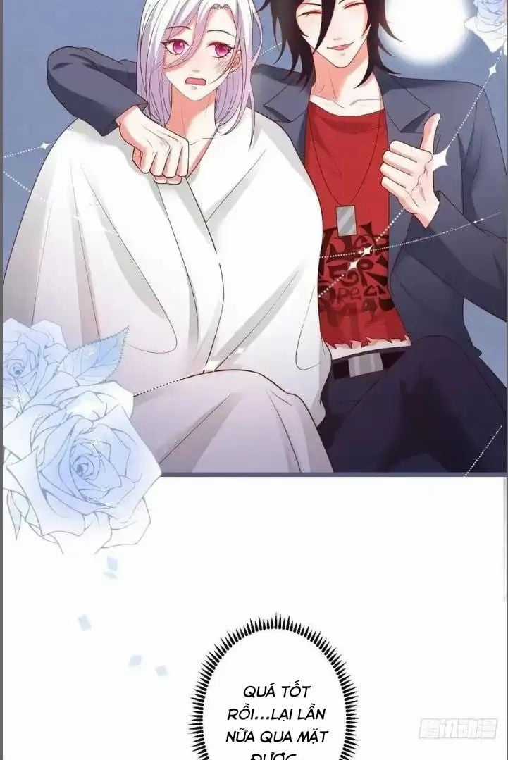 Hắc Đạo Đáng Yêu Chapter 241 trang 36