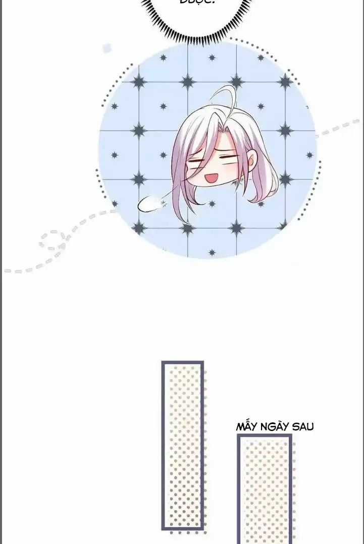 Hắc Đạo Đáng Yêu Chapter 241 trang 37