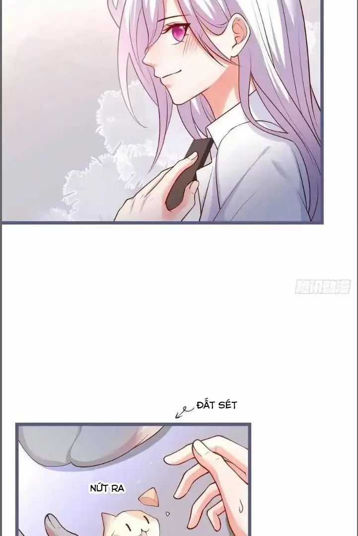 Hắc Đạo Đáng Yêu Chapter 241 trang 43