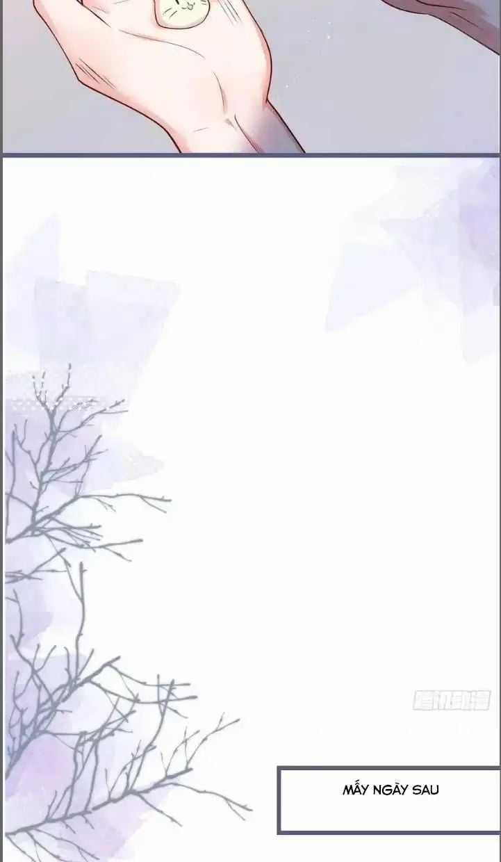 Hắc Đạo Đáng Yêu Chapter 241 trang 47