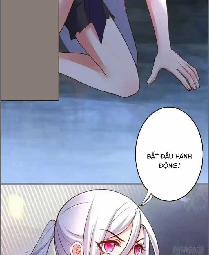 Hắc Đạo Đáng Yêu Chapter 242 trang 11