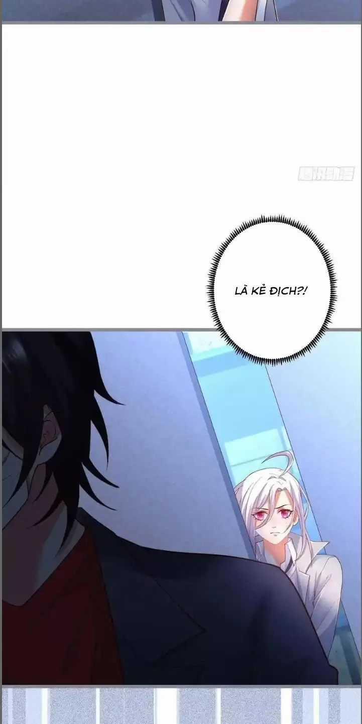 Hắc Đạo Đáng Yêu Chapter 242 trang 15