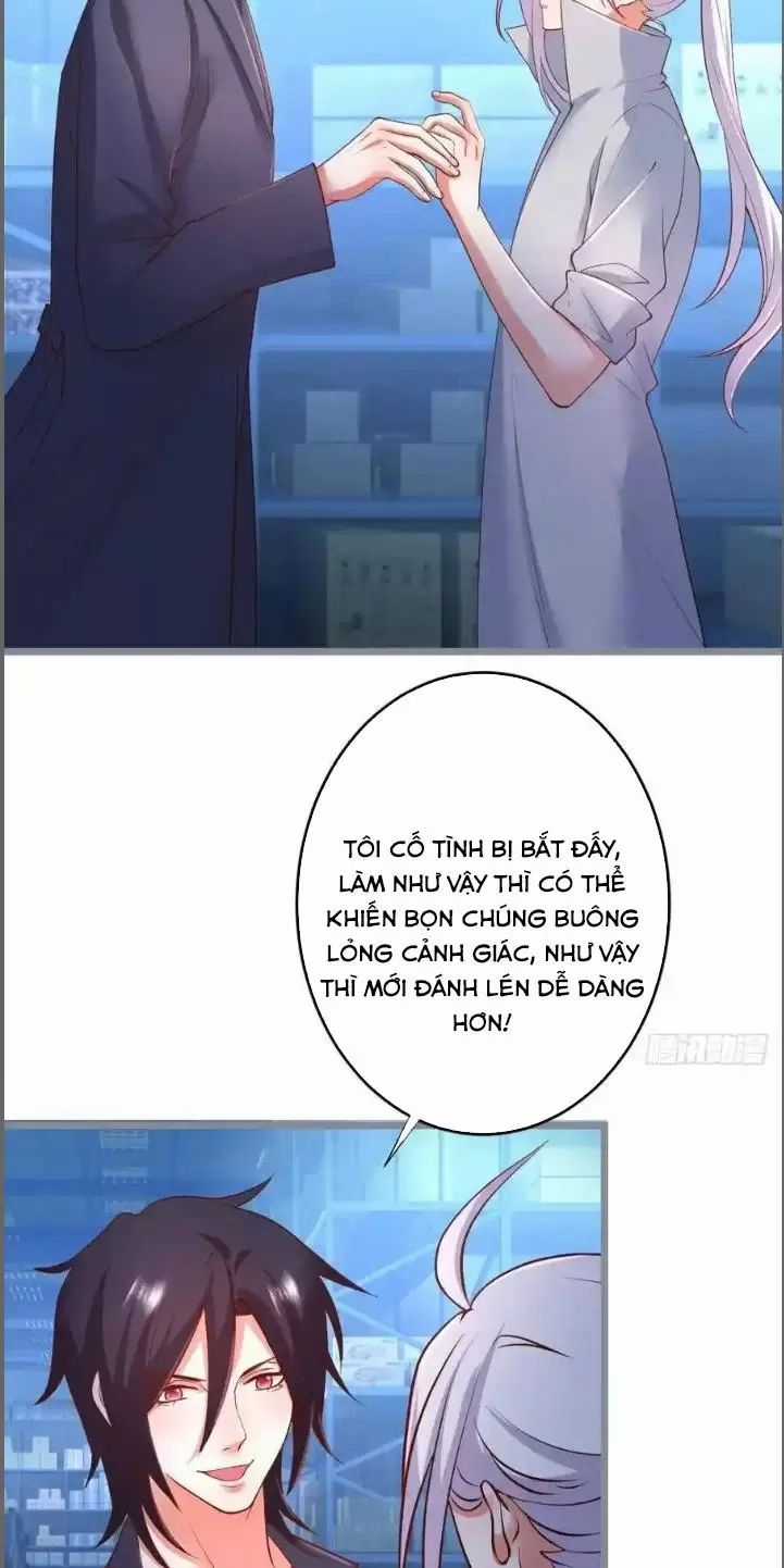 Hắc Đạo Đáng Yêu Chapter 242 trang 24