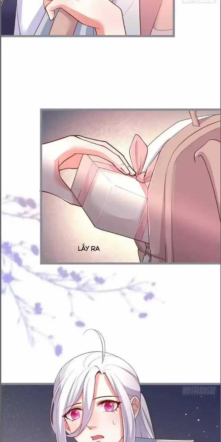 Hắc Đạo Đáng Yêu Chapter 242 trang 6