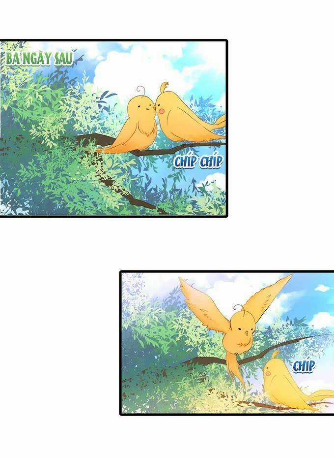 Hắc Đạo Này Có Chút Manh Chapter 8 trang 21
