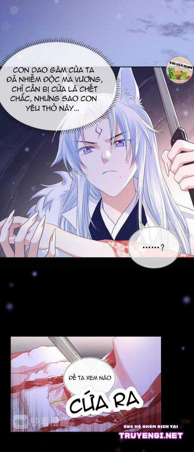 Hắc Hóa Nam Chính Trực Tuyến Nuôi Thỏ Chapter 4 trang 2