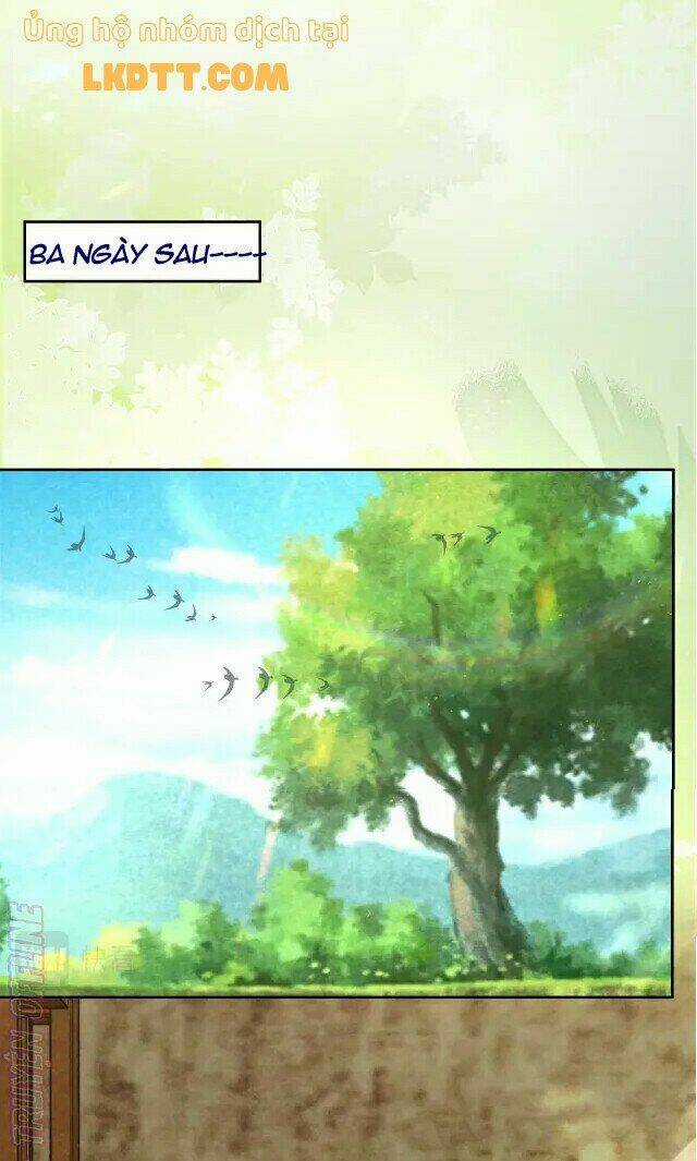 Hắc Hóa Nam Chính Trực Tuyến Nuôi Thỏ Chapter 41 trang 14