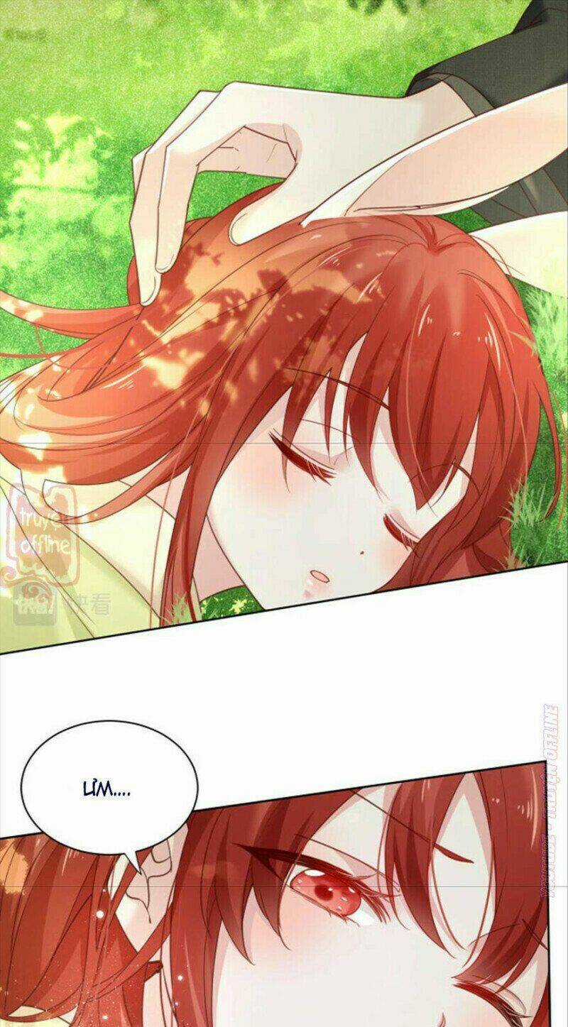 Hắc Hóa Nam Chính Trực Tuyến Nuôi Thỏ Chapter 50 trang 26