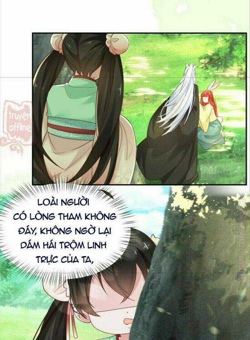 Hắc Hóa Nam Chính Trực Tuyến Nuôi Thỏ Chapter 50 trang 34