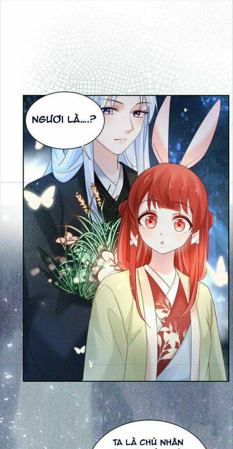 Hắc Hóa Nam Chính Trực Tuyến Nuôi Thỏ Chapter 51 trang 10