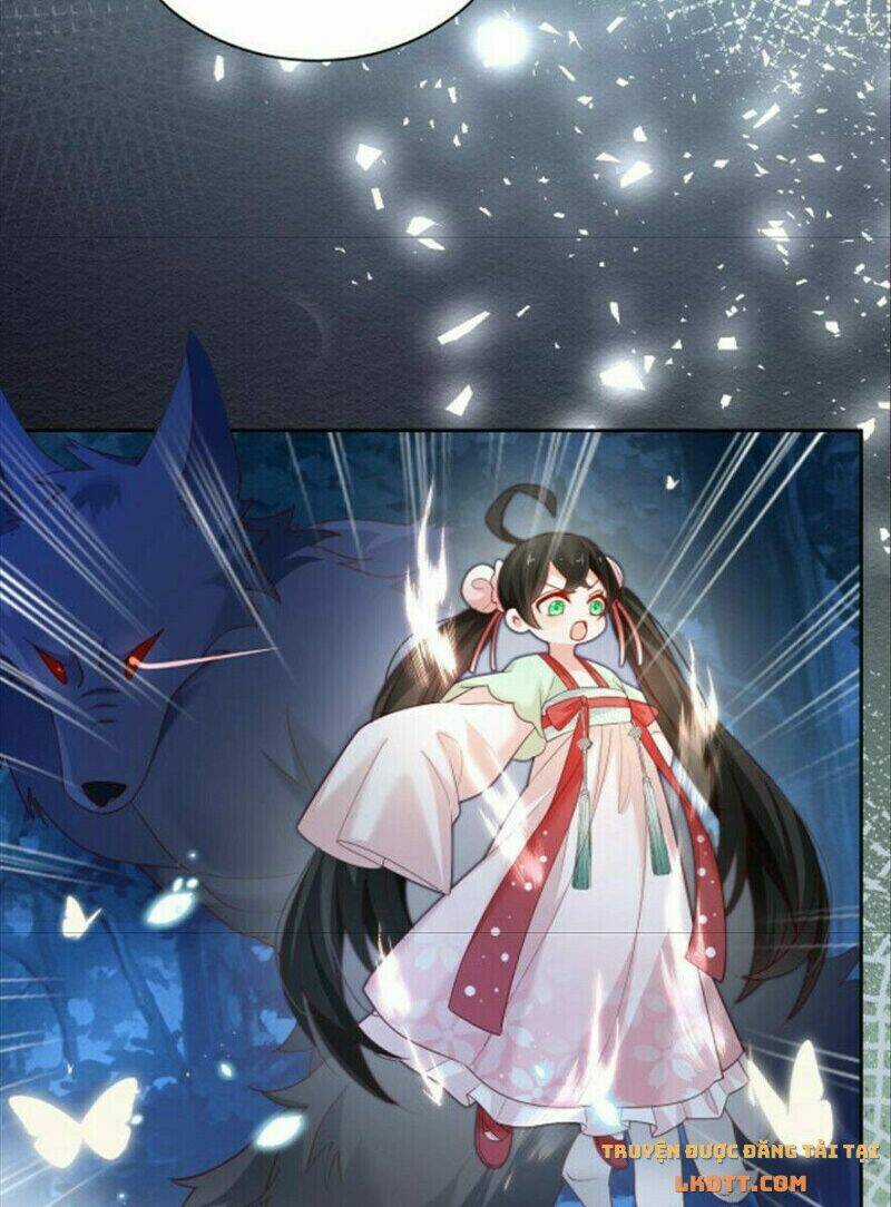 Hắc Hóa Nam Chính Trực Tuyến Nuôi Thỏ Chapter 51 trang 13