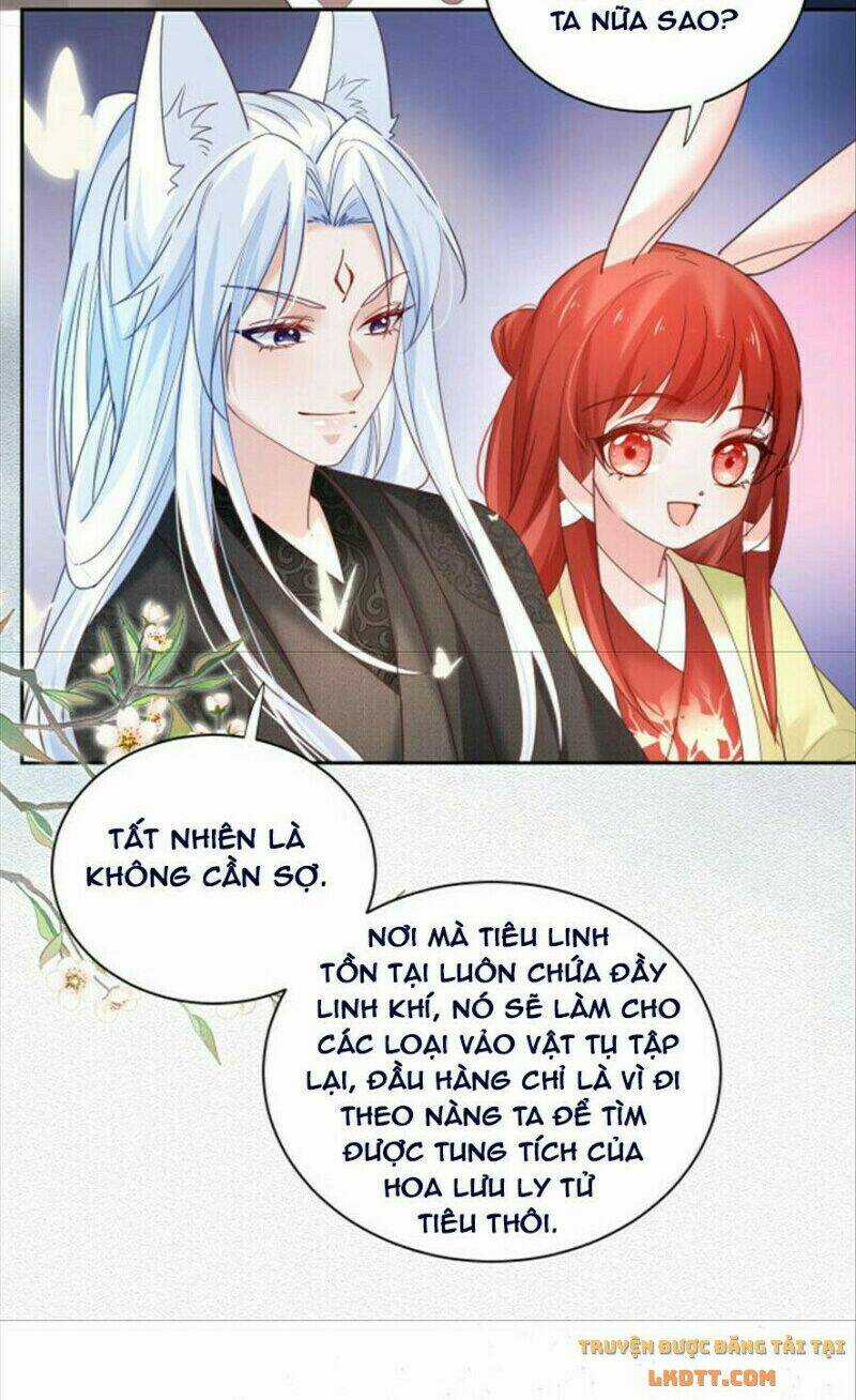 Hắc Hóa Nam Chính Trực Tuyến Nuôi Thỏ Chapter 51 trang 19