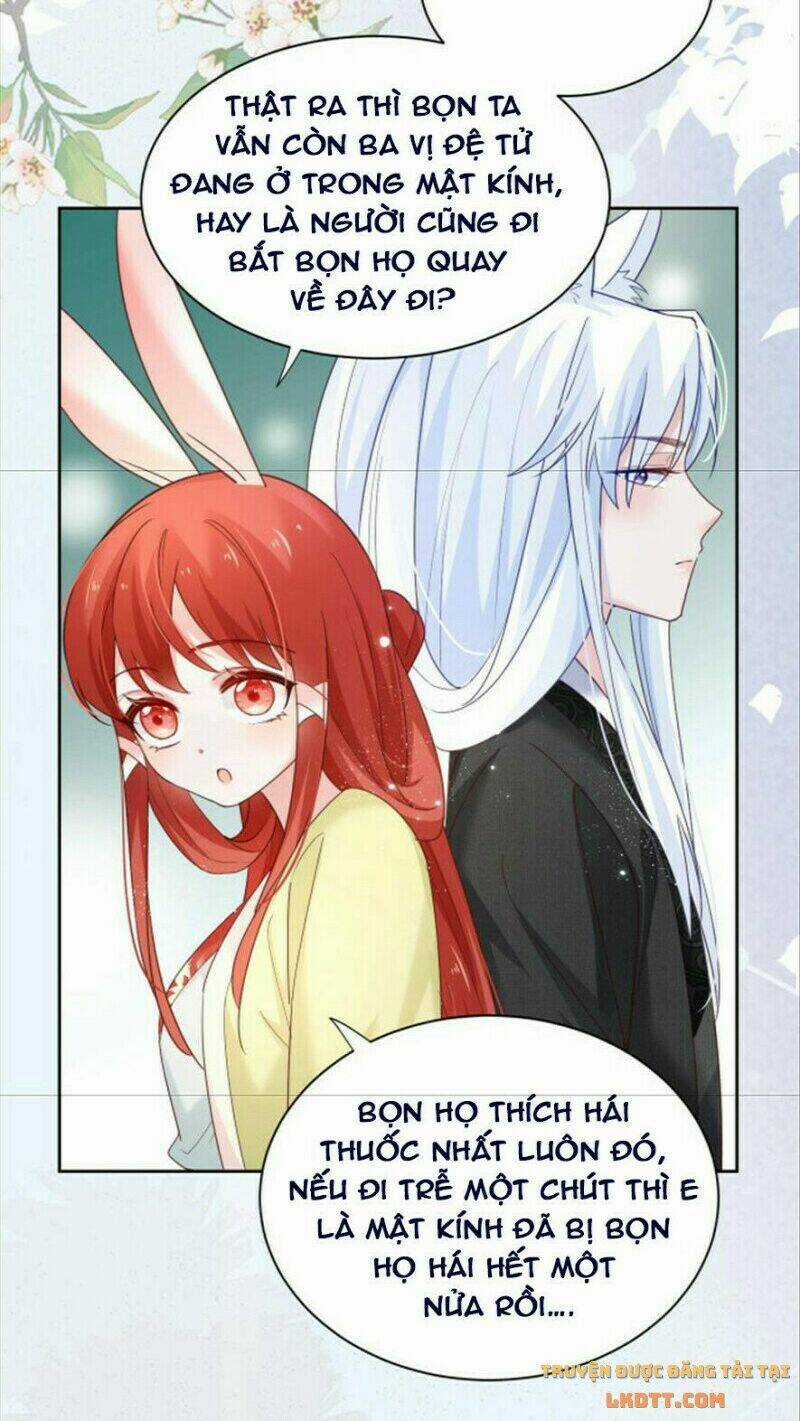 Hắc Hóa Nam Chính Trực Tuyến Nuôi Thỏ Chapter 51 trang 25
