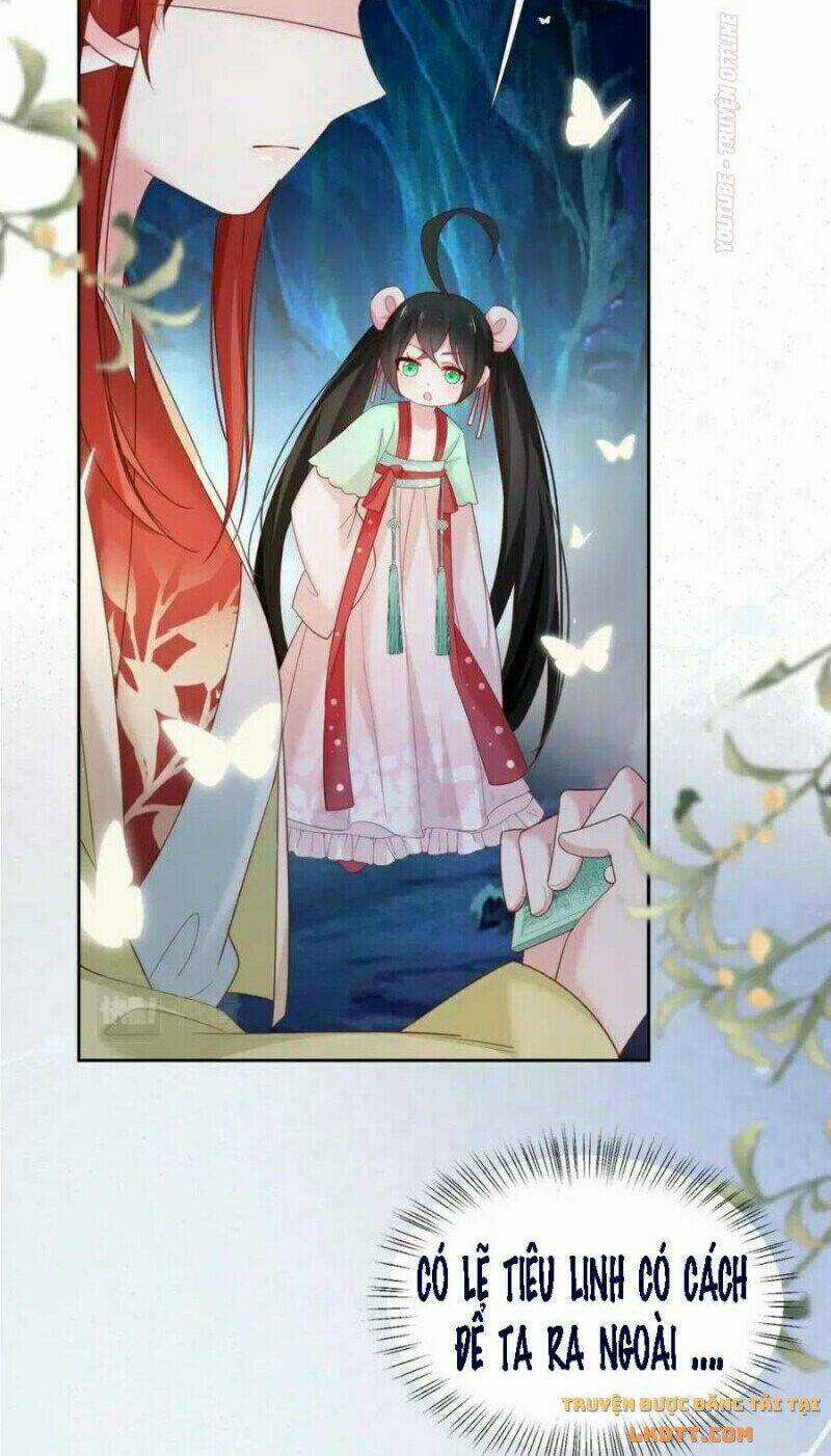 Hắc Hóa Nam Chính Trực Tuyến Nuôi Thỏ Chapter 53 trang 21