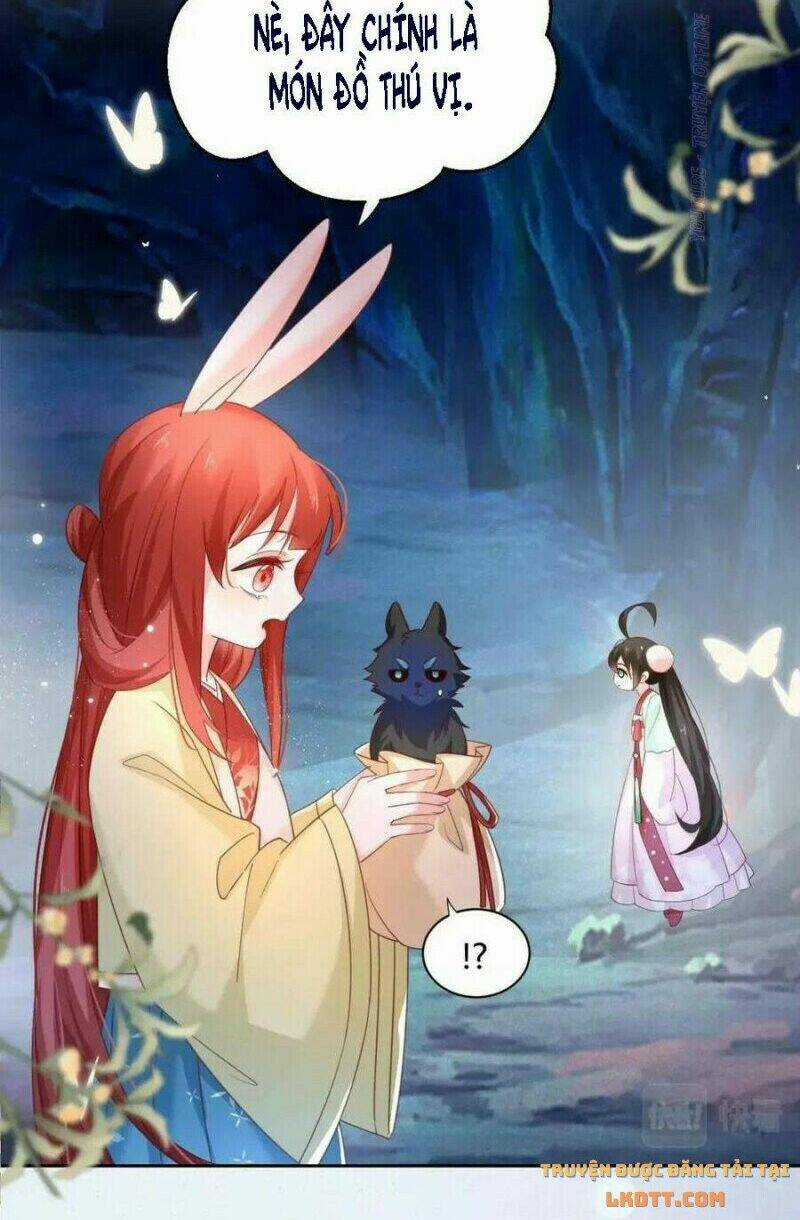 Hắc Hóa Nam Chính Trực Tuyến Nuôi Thỏ Chapter 53 trang 30